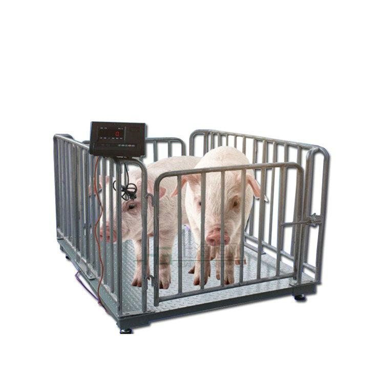 <b>1-3T雙開(kāi)門(mén)電子動(dòng)物秤  1-3噸工業(yè)畜牧秤</b>